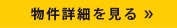 詳細を見る